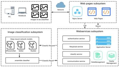 Efficient and accurate diagnosis of otomycosis using an ensemble deep-learning model